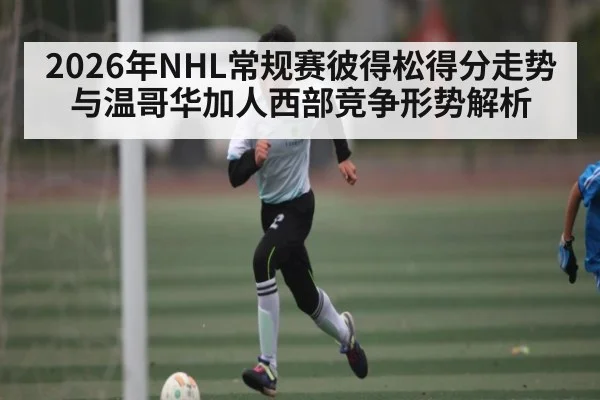 2026年NHL常规赛彼得松得分走势与温哥华加人西部竞争形势解析